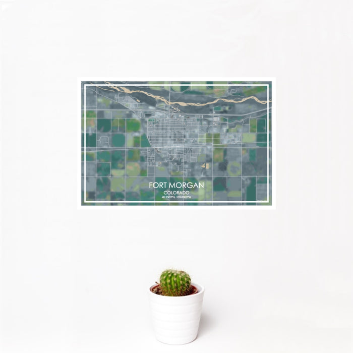12x18 Fort Morgan Colorado Map Print Landscape Orientation in Afternoon Style With Small Cactus Plant in White Planter