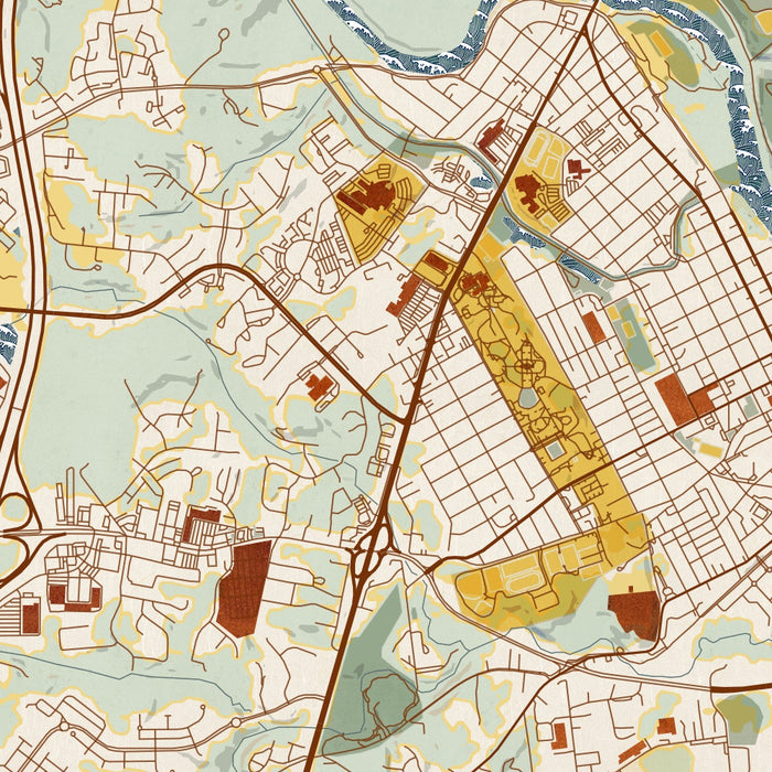 Fredericksburg Virginia Map Print in Woodblock Style Zoomed In Close Up Showing Details