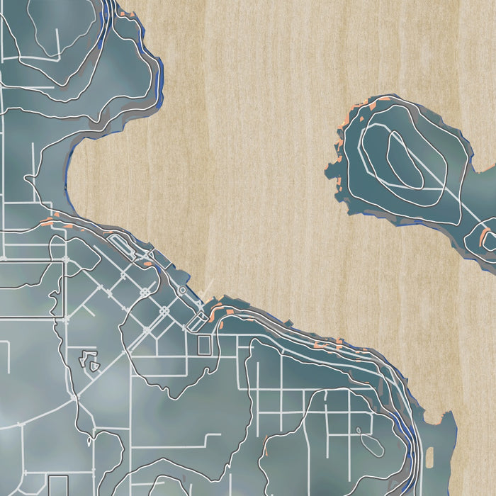 Friday Harbor Washington Map Print in Afternoon Style Zoomed In Close Up Showing Details