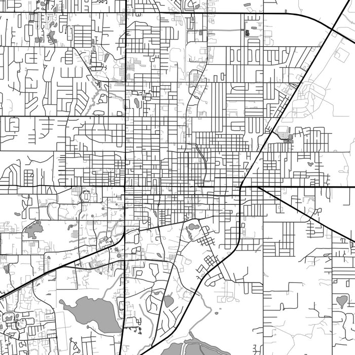 Gainesville Florida Map Print in Classic Style Zoomed In Close Up Showing Details