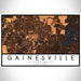 Gainesville Florida Map Print Landscape Orientation in Ember Style With Shaded Background