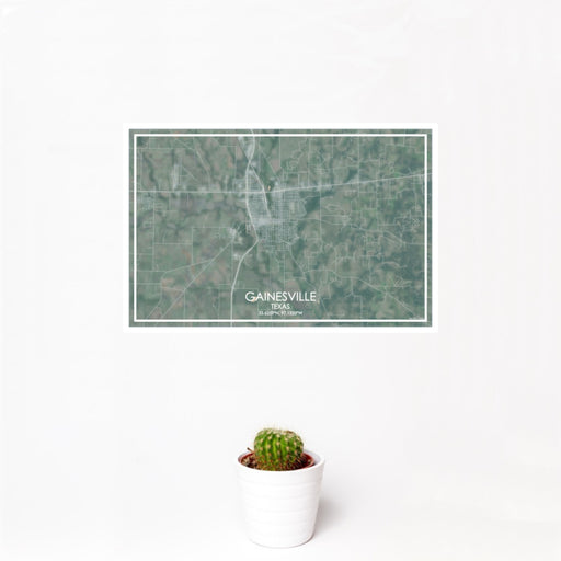 12x18 Gainesville Texas Map Print Landscape Orientation in Afternoon Style With Small Cactus Plant in White Planter
