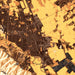 Gilroy California Map Print in Ember Style Zoomed In Close Up Showing Details