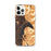 Custom iPhone 12 Pro Max Grand Lake Colorado Map Phone Case in Ember