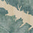 Grapevine Lake Texas Map Print in Afternoon Style Zoomed In Close Up Showing Details