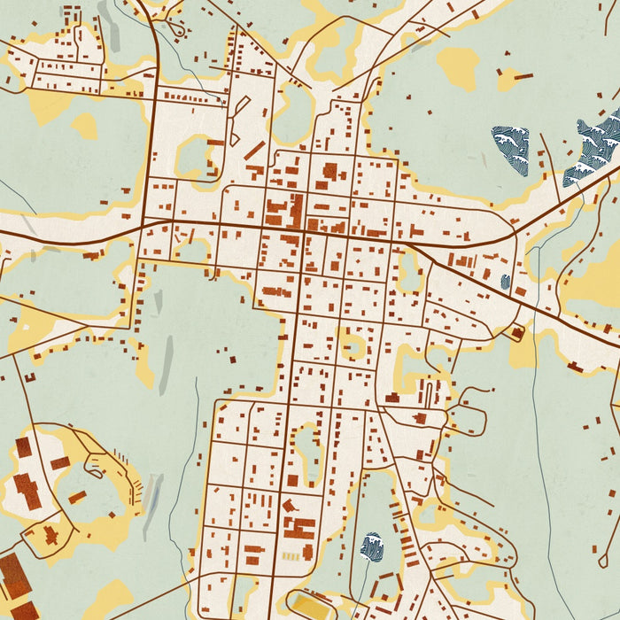 Greensboro Georgia Map Print in Woodblock Style Zoomed In Close Up Showing Details