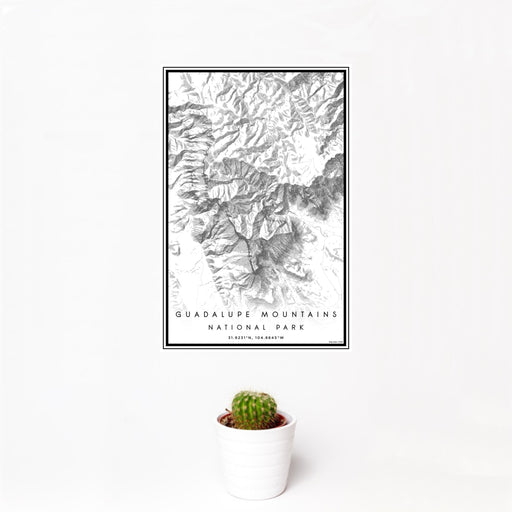 12x18 Guadalupe Mountains National Park Map Print Portrait Orientation in Classic Style With Small Cactus Plant in White Planter