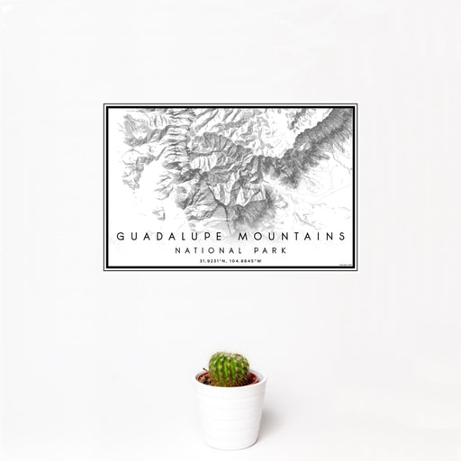 12x18 Guadalupe Mountains National Park Map Print Landscape Orientation in Classic Style With Small Cactus Plant in White Planter