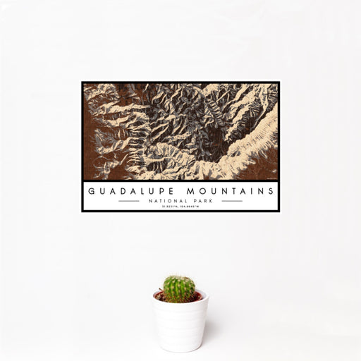 12x18 Guadalupe Mountains National Park Map Print Landscape Orientation in Ember Style With Small Cactus Plant in White Planter