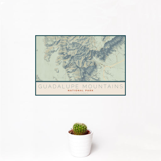 12x18 Guadalupe Mountains National Park Map Print Landscape Orientation in Woodblock Style With Small Cactus Plant in White Planter