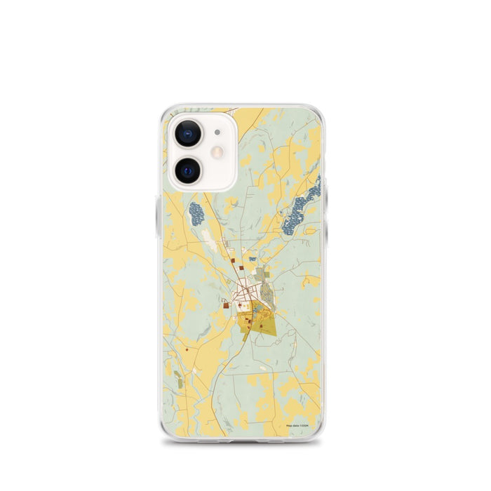 Custom Hamilton New York Map iPhone 12 mini Phone Case in Woodblock