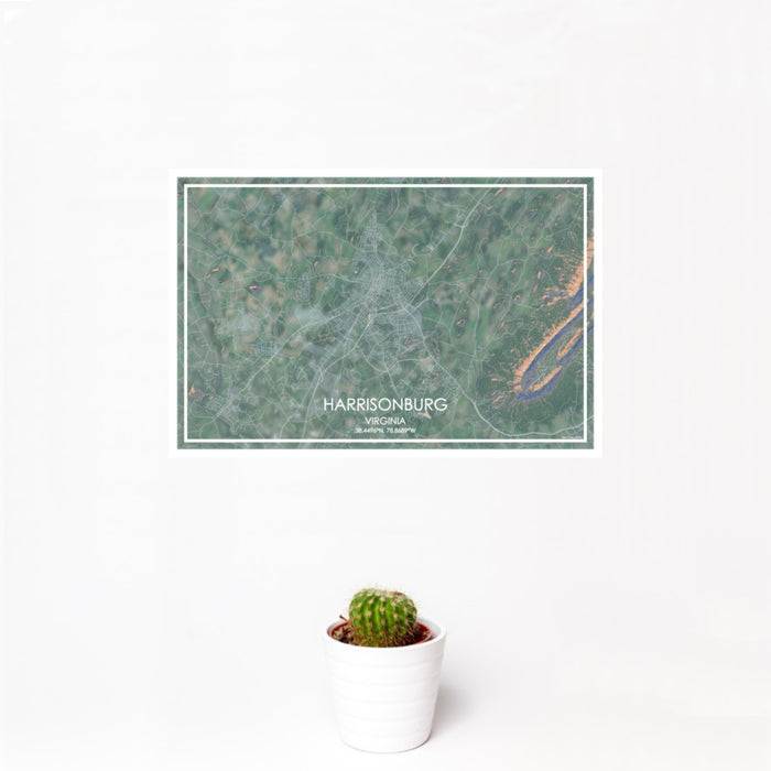 12x18 Harrisonburg Virginia Map Print Landscape Orientation in Afternoon Style With Small Cactus Plant in White Planter