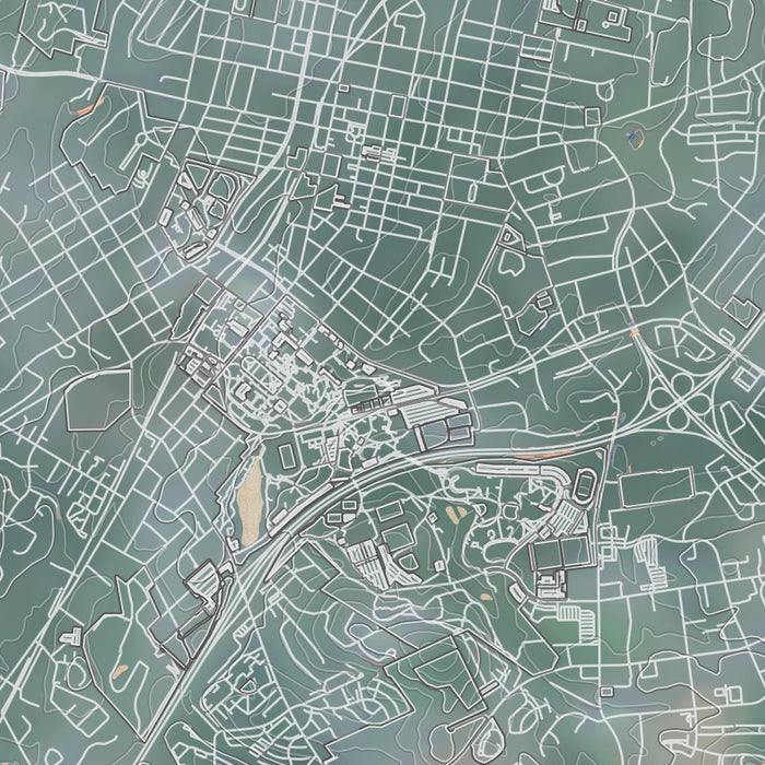 Harrisonburg Virginia Map Print in Afternoon Style Zoomed In Close Up Showing Details