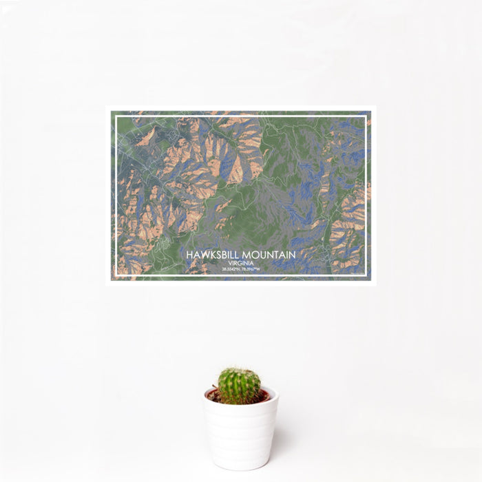 12x18 Hawksbill Mountain Virginia Map Print Landscape Orientation in Afternoon Style With Small Cactus Plant in White Planter