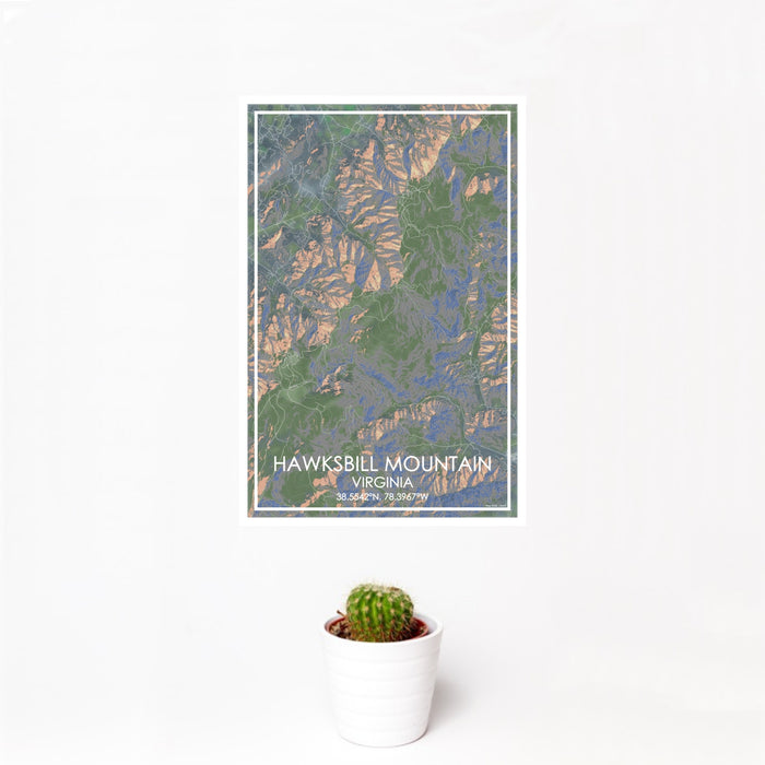 12x18 Hawksbill Mountain Virginia Map Print Portrait Orientation in Afternoon Style With Small Cactus Plant in White Planter