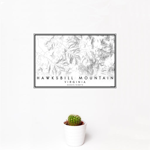 12x18 Hawksbill Mountain Virginia Map Print Landscape Orientation in Classic Style With Small Cactus Plant in White Planter