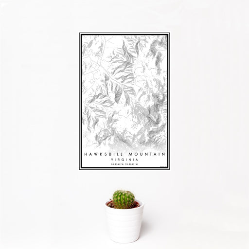 12x18 Hawksbill Mountain Virginia Map Print Portrait Orientation in Classic Style With Small Cactus Plant in White Planter