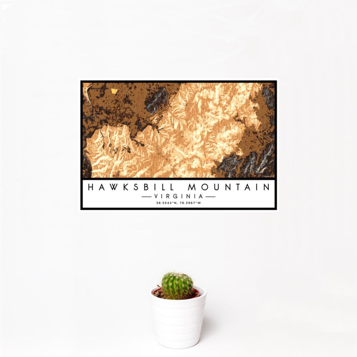 12x18 Hawksbill Mountain Virginia Map Print Landscape Orientation in Ember Style With Small Cactus Plant in White Planter
