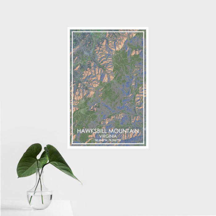 16x24 Hawksbill Mountain Virginia Map Print Portrait Orientation in Afternoon Style With Tropical Plant Leaves in Water