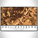 Hollidaysburg Pennsylvania Map Print Landscape Orientation in Ember Style With Shaded Background