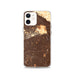 Custom Hollywood California Map iPhone 12 Phone Case in Ember