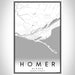Homer Alaska Map Print Portrait Orientation in Classic Style With Shaded Background