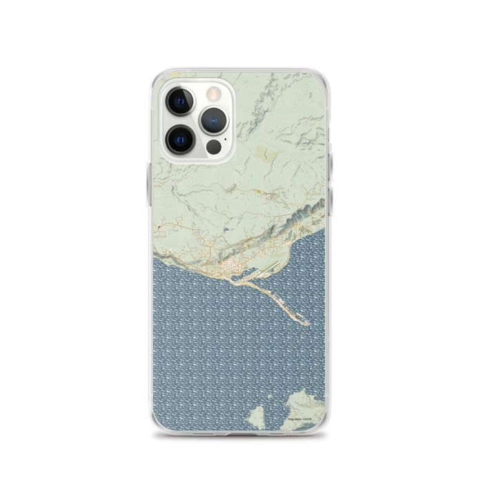 Custom iPhone 12 Pro Homer Alaska Map Phone Case in Woodblock