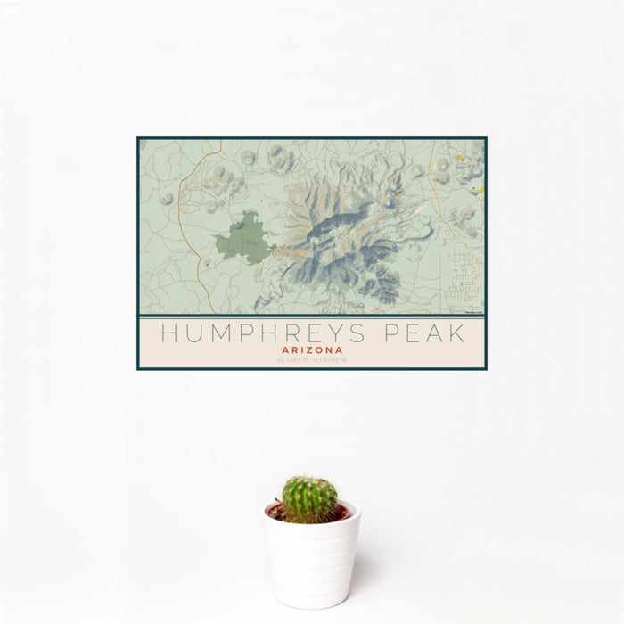 12x18 Humphreys Peak Arizona Map Print Landscape Orientation in Woodblock Style With Small Cactus Plant in White Planter