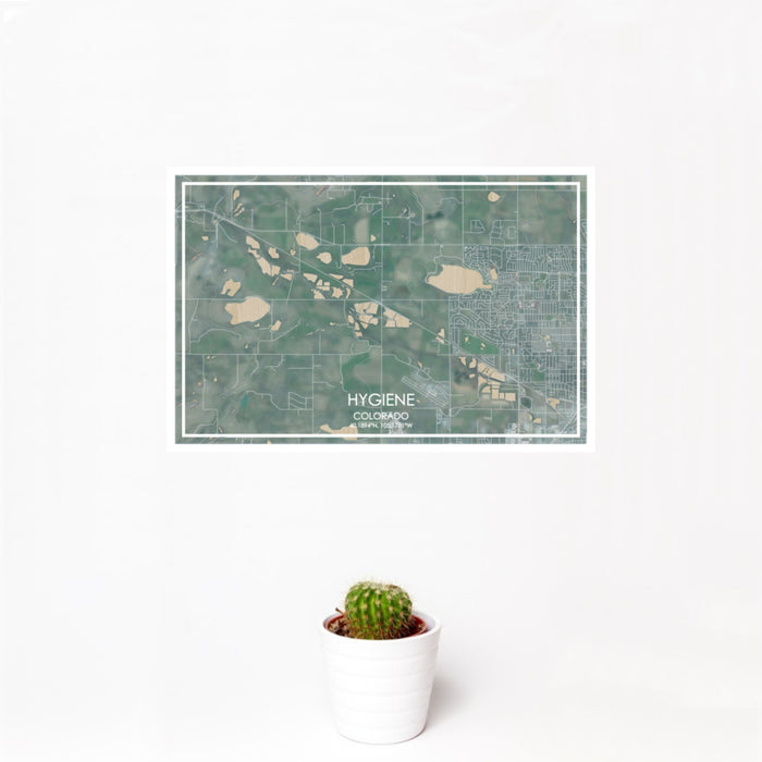 12x18 Hygiene Colorado Map Print Landscape Orientation in Afternoon Style With Small Cactus Plant in White Planter