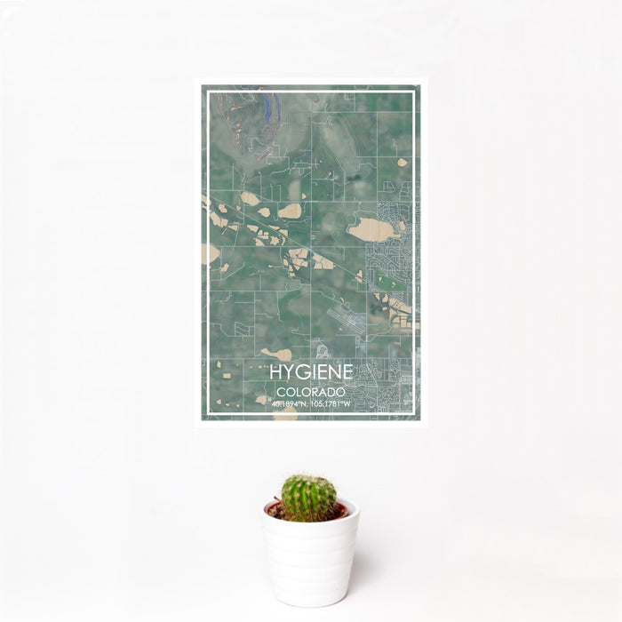12x18 Hygiene Colorado Map Print Portrait Orientation in Afternoon Style With Small Cactus Plant in White Planter
