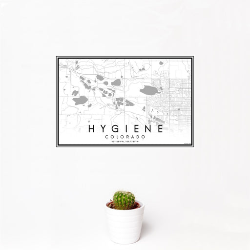 12x18 Hygiene Colorado Map Print Landscape Orientation in Classic Style With Small Cactus Plant in White Planter
