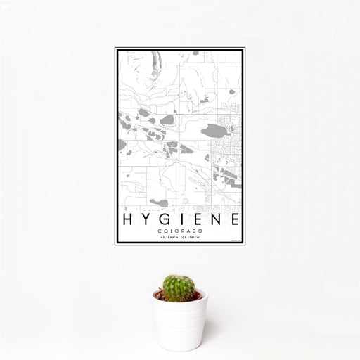 12x18 Hygiene Colorado Map Print Portrait Orientation in Classic Style With Small Cactus Plant in White Planter