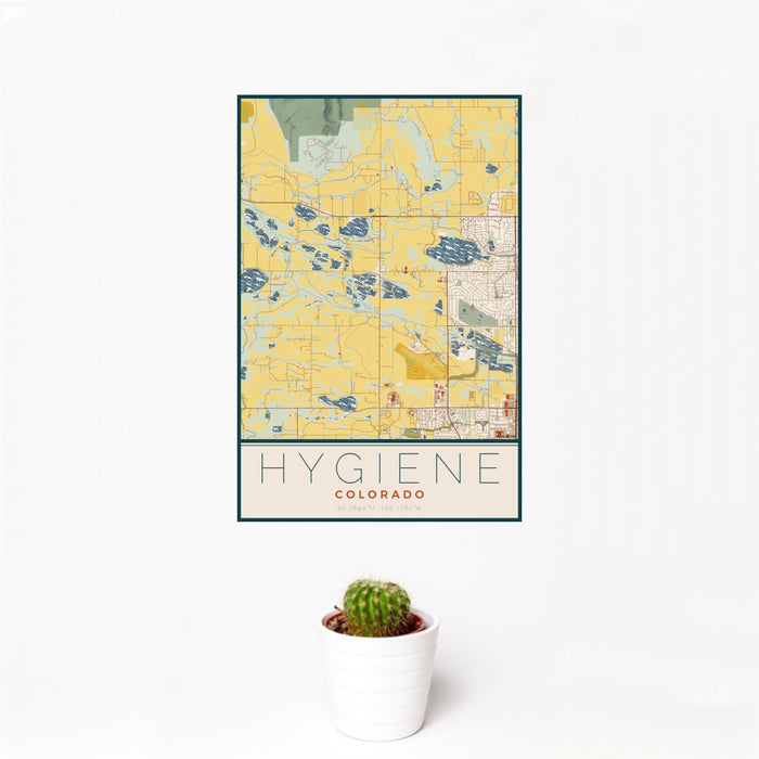 12x18 Hygiene Colorado Map Print Portrait Orientation in Woodblock Style With Small Cactus Plant in White Planter