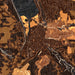 Ithaca New York Map Print in Ember Style Zoomed In Close Up Showing Details