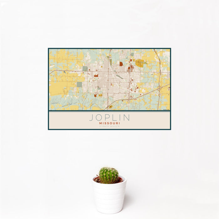12x18 Joplin Missouri Map Print Landscape Orientation in Woodblock Style With Small Cactus Plant in White Planter