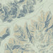 Joshua Tree National Park Map Print in Woodblock Style Zoomed In Close Up Showing Details