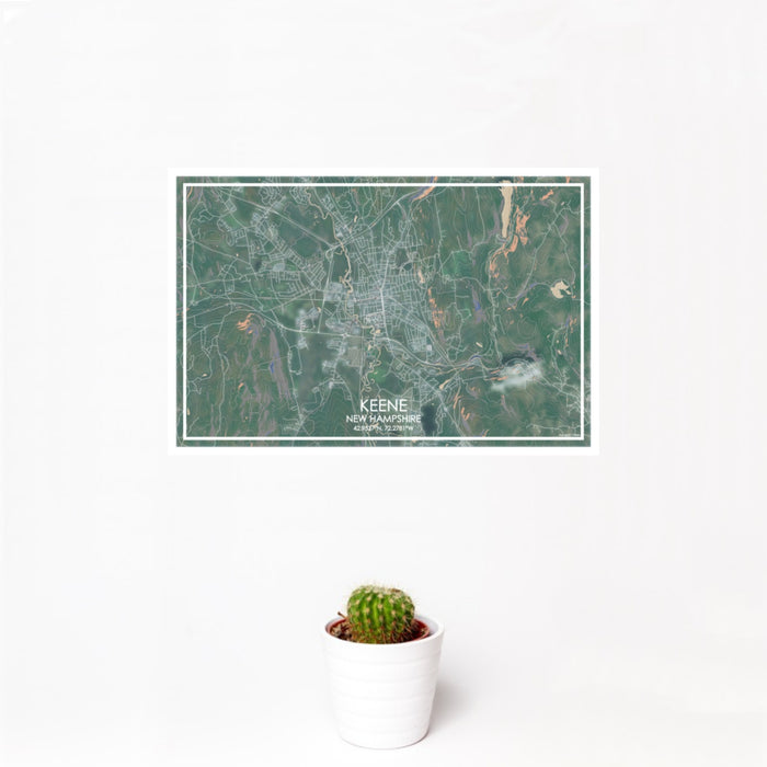 12x18 Keene New Hampshire Map Print Landscape Orientation in Afternoon Style With Small Cactus Plant in White Planter