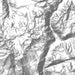 Kings Canyon National Park Map Print in Classic Style Zoomed In Close Up Showing Details