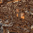 Lafayette California Map Print in Ember Style Zoomed In Close Up Showing Details