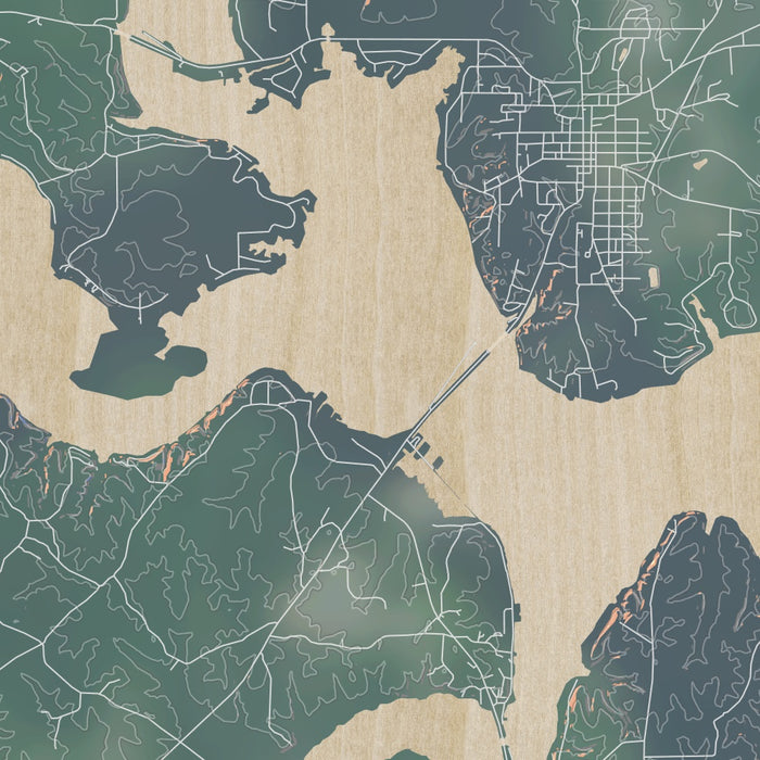 Lake D'Arbonne Louisiana Map Print in Afternoon Style Zoomed In Close Up Showing Details