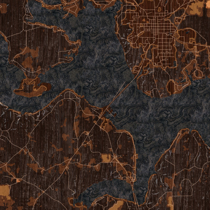 Lake D'Arbonne Louisiana Map Print in Ember Style Zoomed In Close Up Showing Details