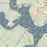 Lake D'Arbonne Louisiana Map Print in Woodblock Style Zoomed In Close Up Showing Details