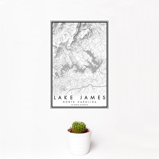 12x18 Lake James North Carolina Map Print Portrait Orientation in Classic Style With Small Cactus Plant in White Planter