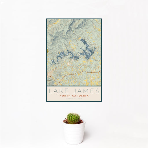 12x18 Lake James North Carolina Map Print Portrait Orientation in Woodblock Style With Small Cactus Plant in White Planter