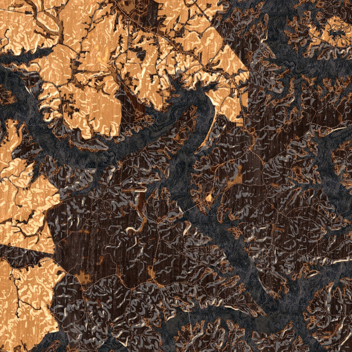 Lake of the Ozarks Missouri Map Print in Ember Style Zoomed In Close Up Showing Details