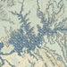 Lake Powell Arizona Map Print in Woodblock Style Zoomed In Close Up Showing Details