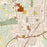 Laurel Mississippi Map Print in Woodblock Style Zoomed In Close Up Showing Details