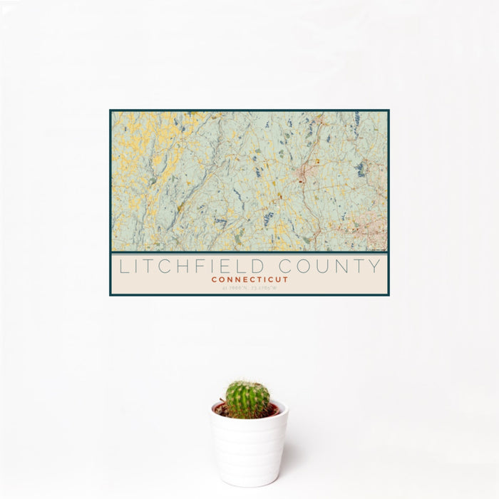 12x18 Litchfield County Connecticut Map Print Landscape Orientation in Woodblock Style With Small Cactus Plant in White Planter