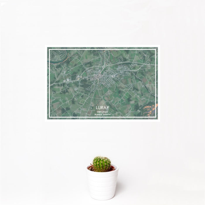 12x18 Luray Virginia Map Print Landscape Orientation in Afternoon Style With Small Cactus Plant in White Planter