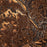Lynchburg Virginia Map Print in Ember Style Zoomed In Close Up Showing Details